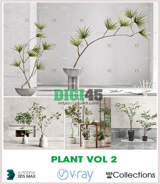 Plant Vol 2
