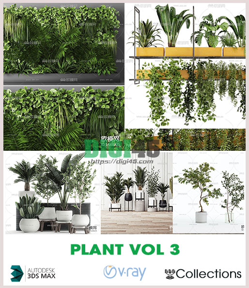 Plant Vol 3