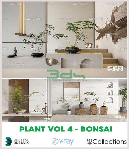 Plant Vol 4 Bonsai